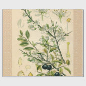 Antique Blackthorn Botanische Print Blume Berry Geschenkpapier (Flach)