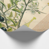 Antique Blackthorn Botanische Print Blume Berry Geschenkpapier (Ecke)