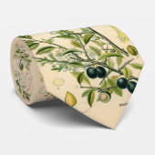 Antique Blackthorn Botanische Print Blume Berry Krawatte (Gerollt)