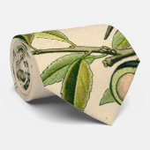 Antique Blackthorn Botanische Print Blume Berry Krawatte (Gerollt)