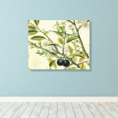 Antique Blackthorn Botanische Print Blume Berry Leinwanddruck (Insitu (Holzboden))