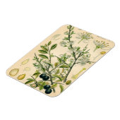 Antique Blackthorn Botanische Print Blume Berry Magnet (Linke Seite)