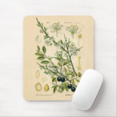 Antique Blackthorn Botanische Print Blume Berry Mousepad (Mit Mouse)