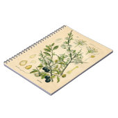 Antique Blackthorn Botanische Print Blume Berry Notizblock (Linke Seite)