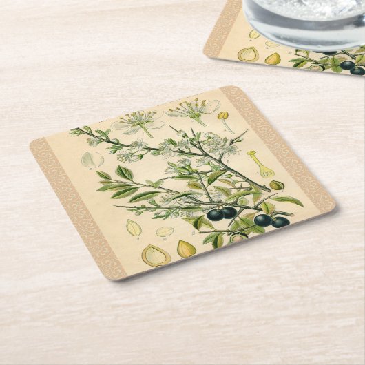 Antique Blackthorn Botanische Print Blume Berry Rechteckiger Pappuntersetzer (angewinkelt)