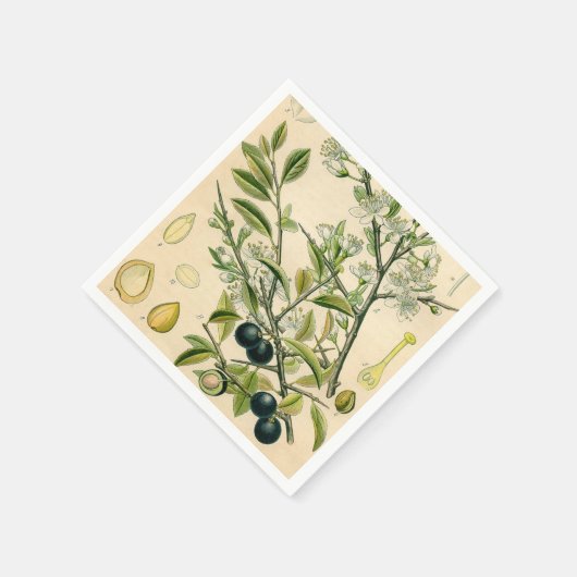 Antique Blackthorn Botanische Print Blume Berry Serviette (Ecke)