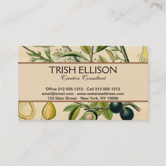 Antique Blackthorn Botanische Print Blume Berry Visitenkarte (Rückseite)