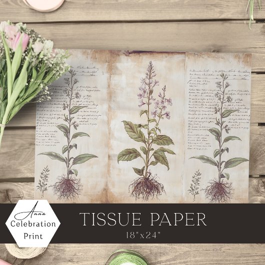 Antique Botanical Herbs Decoupage Seidenpapier