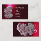 ANTIQUE CAMEO, LADY MIT GRABEN UND GRAPEVINEN VISITENKARTE (Vorne/Hinten)