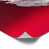 ANTIQUE CAMEO, MONDLADY OF NIGHT with OWT Poster (Ecke)