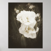 Antique Daffodil Print Poster (Vorne)