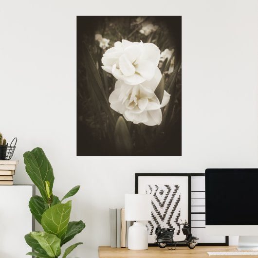 Antique Daffodil Print Poster (Heimbüro)