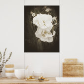 Antique Daffodil Print Poster (Küche)