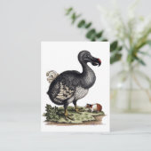 Antique Dodo Bird und Guinea Pig Postkarte (Stehend Vorderseite)
