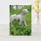 Antique Dog Karte (Gelbe Blume)