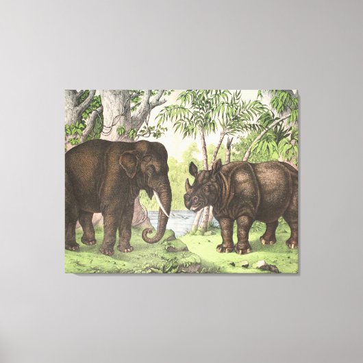 Antique Elephant Rhino - Dschungeldruckerei Leinwanddruck (Vorderseite)