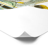 Antique Fish Print no 9 Beach House Deco Art Poster (Ecke)