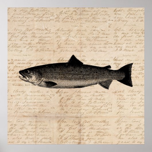 Antique Fishing Art Trout Fish Illustration Script Poster (Vorne)