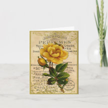 Antique French Roses