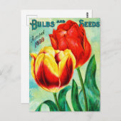 Antique Garden Advertising, Gelbe Rote Tulpen Postkarte (Vorne/Hinten)