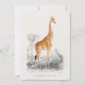 Antique Giraffe Naturgeschichte Orbigne Einladung (Vorderseite)