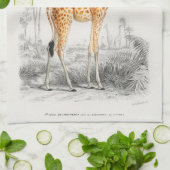 Antique Giraffe Naturgeschichte Orbigne Geschirrtuch (Gefaltet)