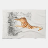 Antique Giraffe Naturgeschichte Orbigne Geschirrtuch (Horizontal)