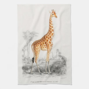 Antique Giraffe Naturgeschichte Orbigne Geschirrtuch