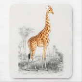 Antique Giraffe Naturgeschichte Orbigne Mousepad (Vorne)