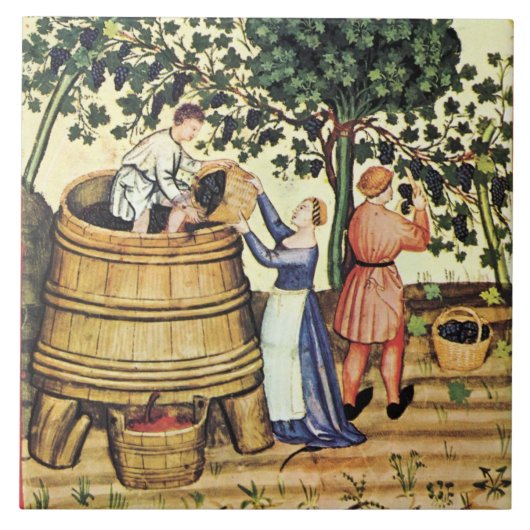 ANTIQUE GRAPE VINEYARD HARVEST FLIESE (Vorderseite)