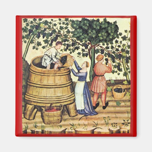 ANTIQUE GRAPE VINEYARD HARVEST MAGNET (Vorne)