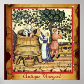 ANTIQUE GRAPE VINEYARD HARVEST PARCHMENT POSTER (Vorne)