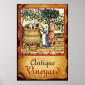 ANTIQUE GRAPE VINEYARD HARVEST PARCHMENT POSTER (Vorne)