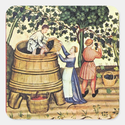 ANTIQUE GRAPE VINEYARD HARVEST QUADRATISCHER AUFKLEBER (Vorderseite)