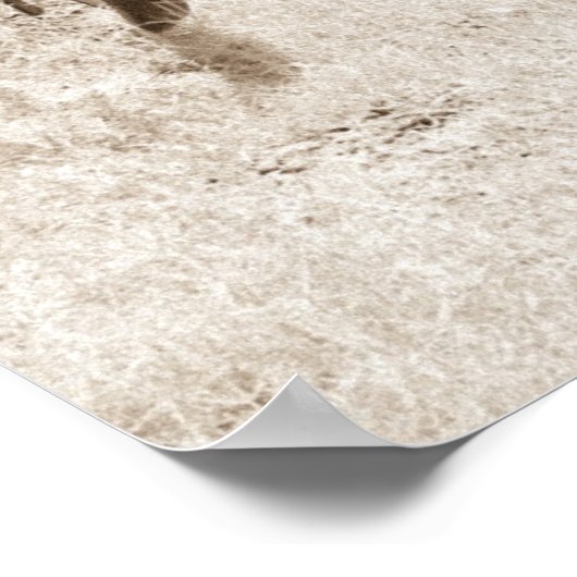 Antique Hay Rake Poster (Ecke)