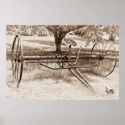 Antique Hay Rake Poster (Vorne)