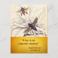 ANTIQUE HONEY BIE BEEKEEPER, HALTUNG