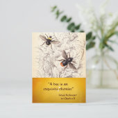 ANTIQUE HONEY BIE BEEKEEPER, HALTUNG POSTKARTE (Stehend Vorderseite)