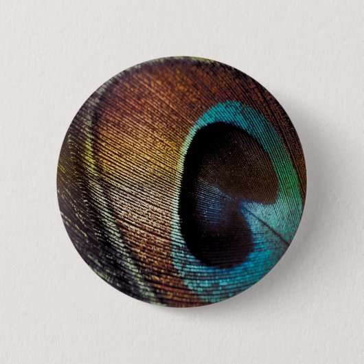 Antique Hues Peacock Federauge Auge Button (Vorderseite)