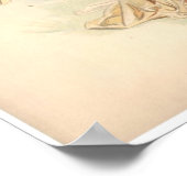 Antique Lithograph Print Iris Nymph Poster (Ecke)