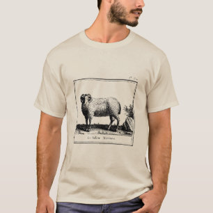 Antique Merino Sheep T-Shirt