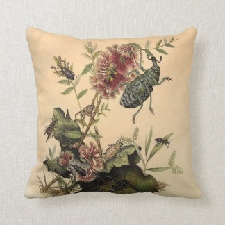 Antique Nature Beetles Bugs Kissen