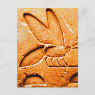 ANTIQUE ORANGE YELLOW EGYPTIAN HONEY BIE BEEKEEPER POSTKARTE