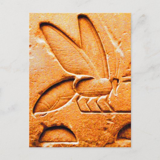 ANTIQUE ORANGE YELLOW EGYPTIAN HONEY BIE BEEKEEPER POSTKARTE (Vorderseite)