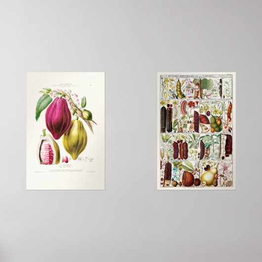 antique plant unique bilderwand sets (Vorderseite)