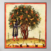 ANTIQUE POMEGRANATENBAUM POSTER (Vorne)