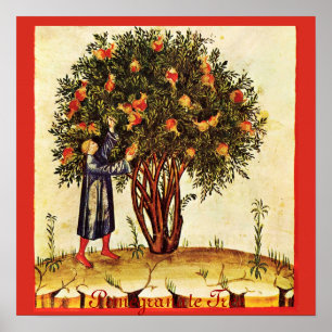 ANTIQUE POMEGRANATENBAUM POSTER