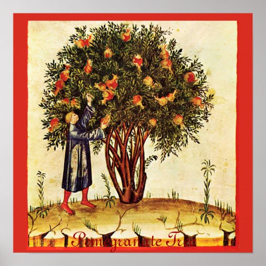 ANTIQUE POMEGRANATENBAUM POSTER (Vorne)