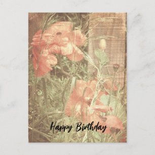 Antique Poppies Geburtstagskarte Postkarte