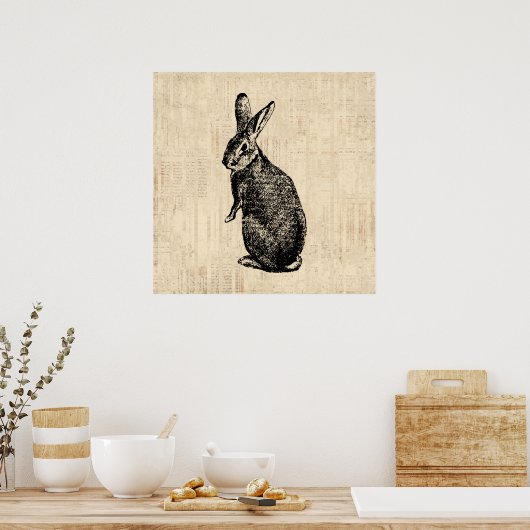 Antique Rabbit Illustration Bunny Art mit Script Poster (Küche)